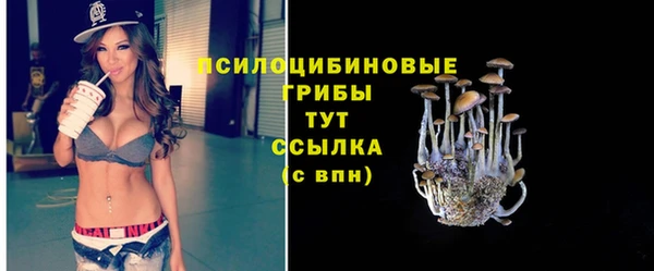 спиды Алексеевка