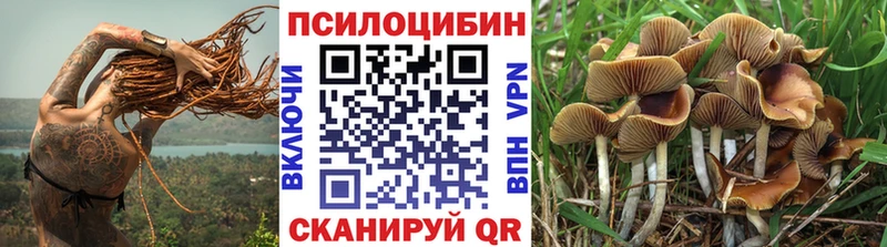 наркошоп  Глазов  Псилоцибиновые грибы ЛСД 